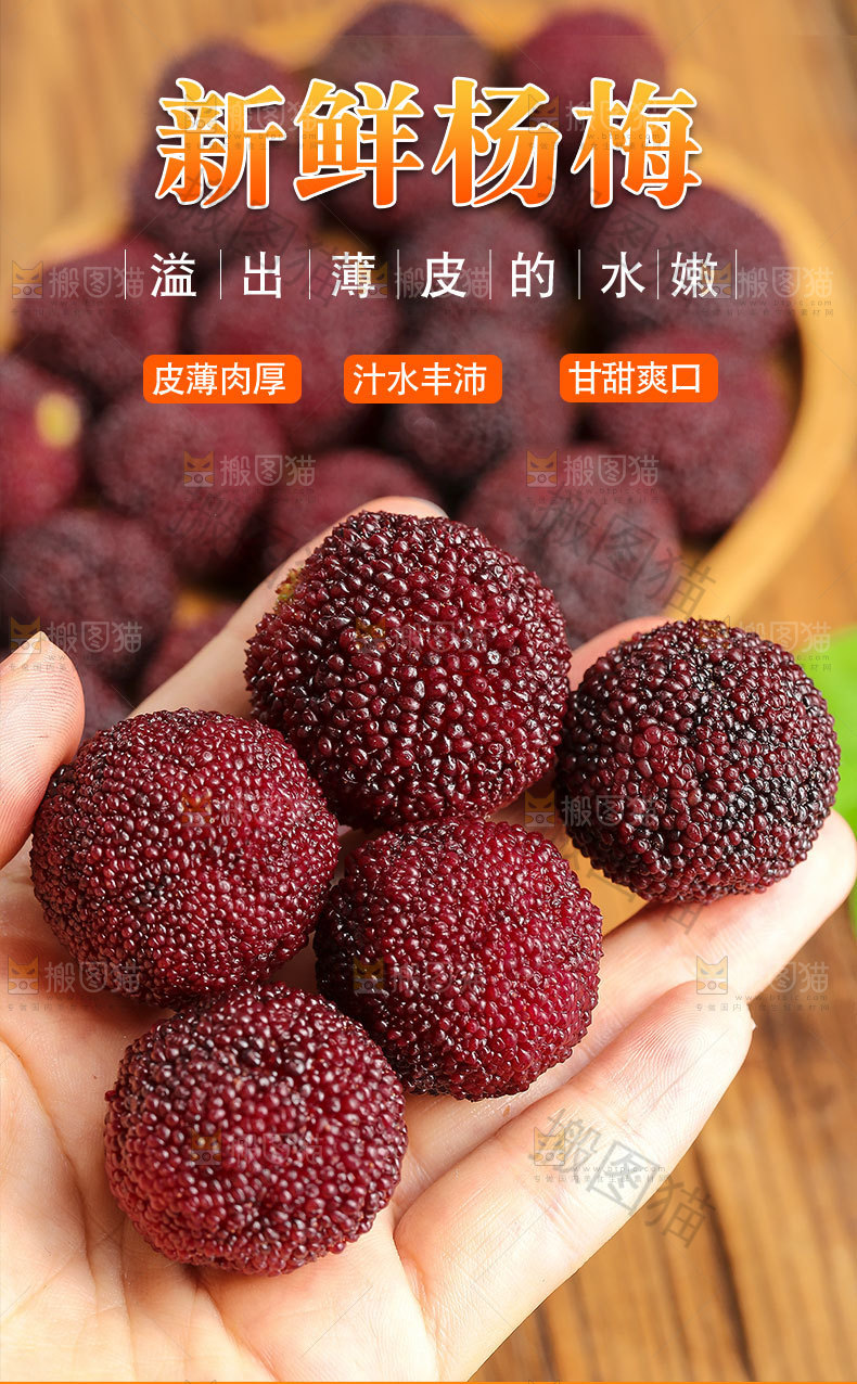 新鲜杨梅详情页