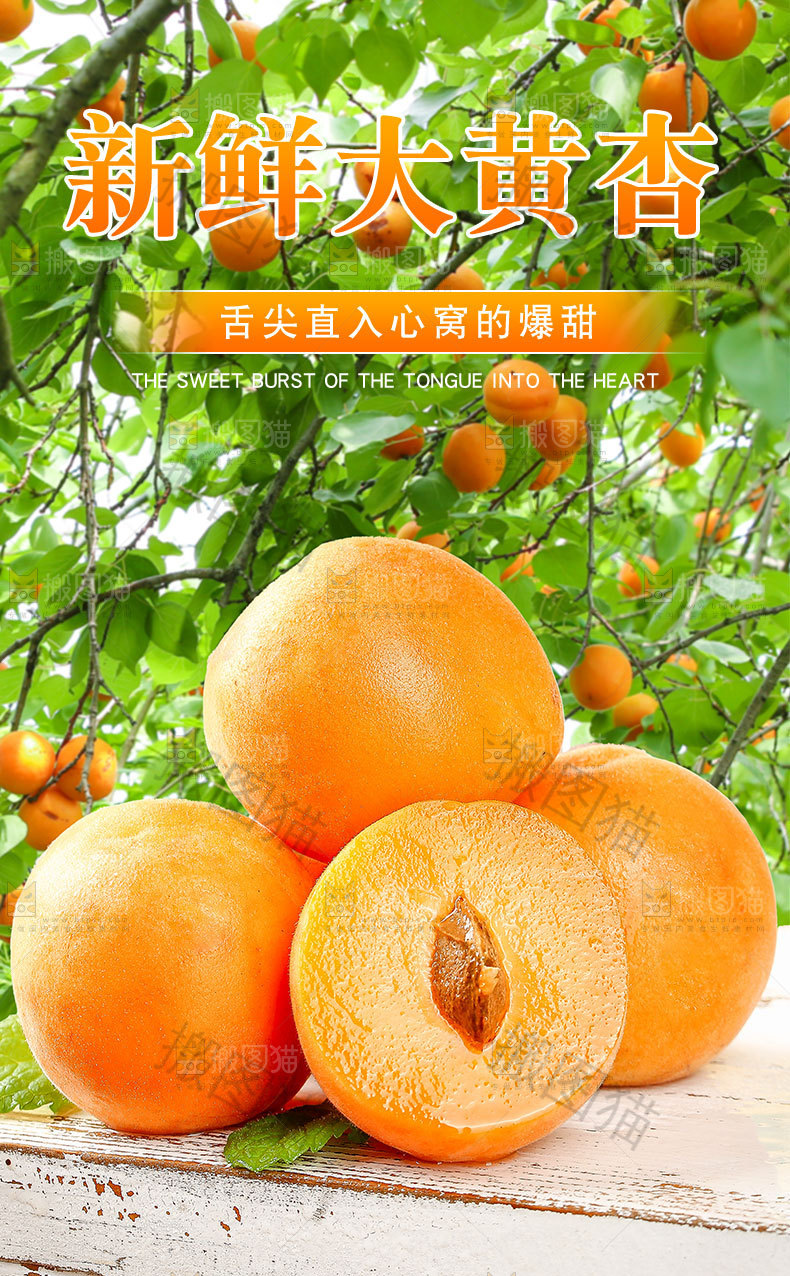新鲜大黄杏详情页