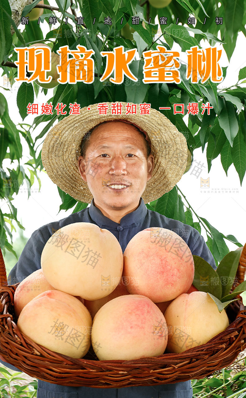 现摘水蜜桃详情页