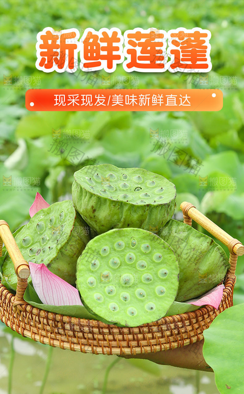 新鲜莲蓬详情页