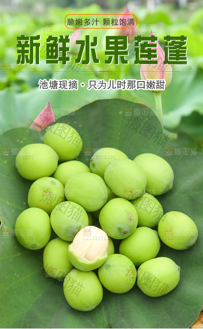 新鲜水果莲蓬详情页