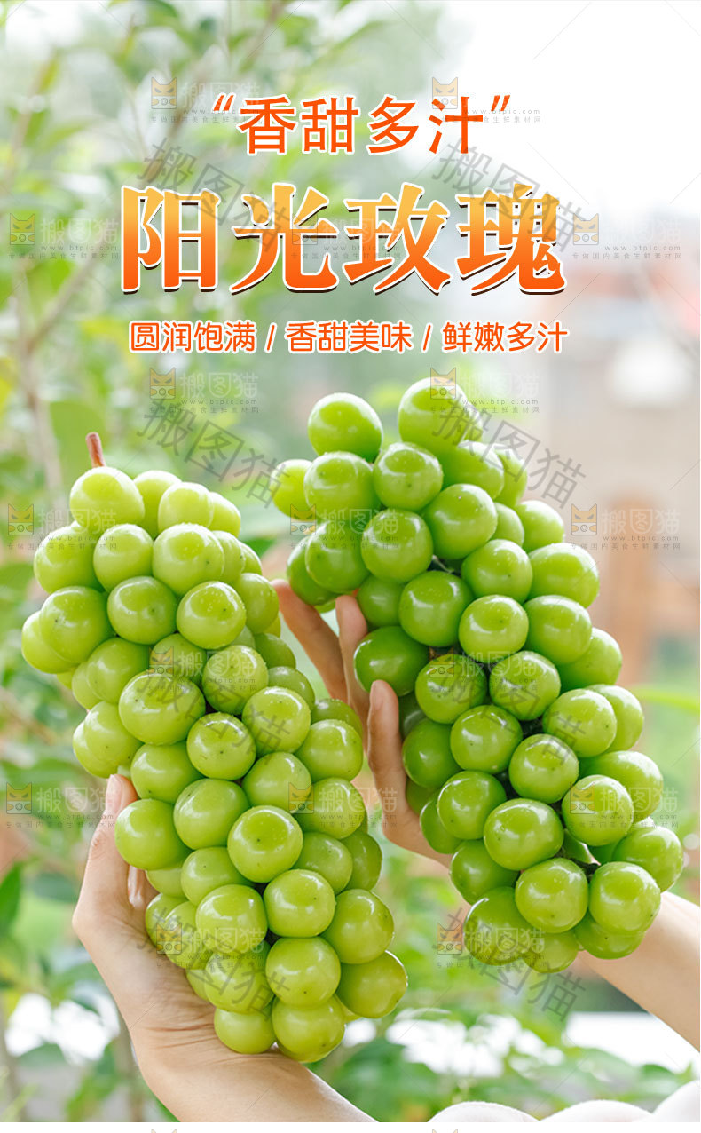 阳光玫瑰详情页