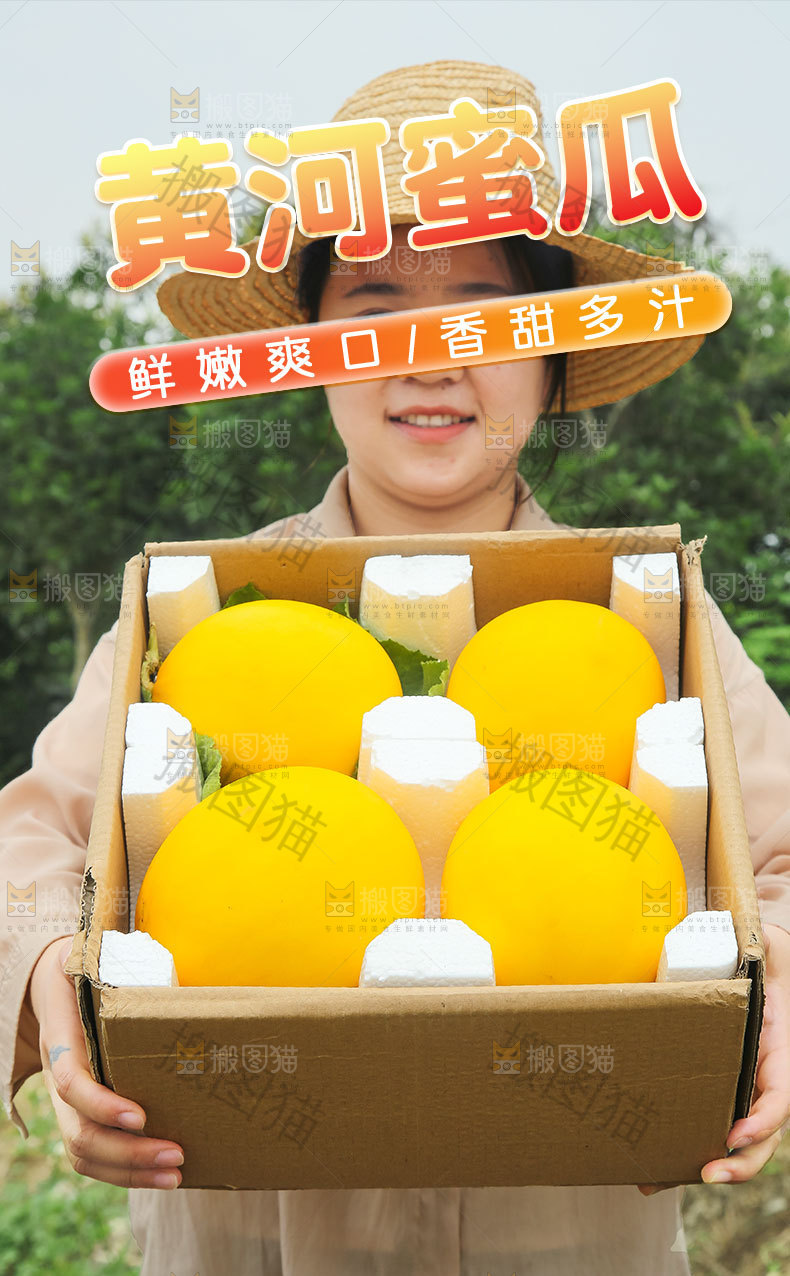 黄河蜜瓜详情页