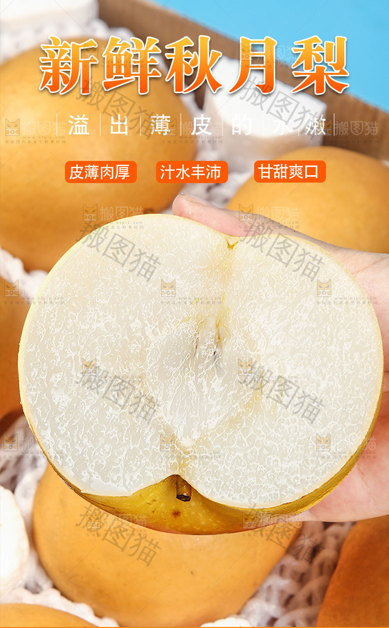 新鲜秋月梨详情页