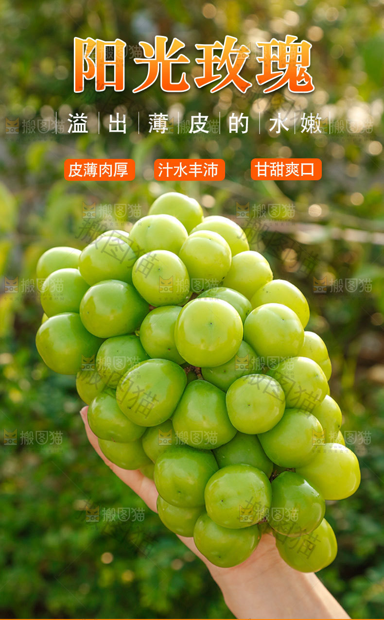 阳光玫瑰详情页
