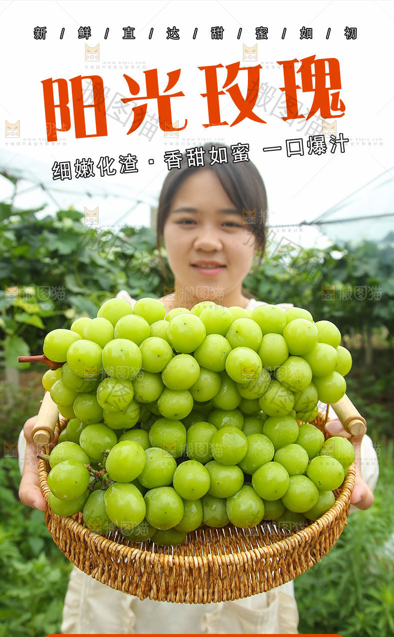 阳光玫瑰详情页