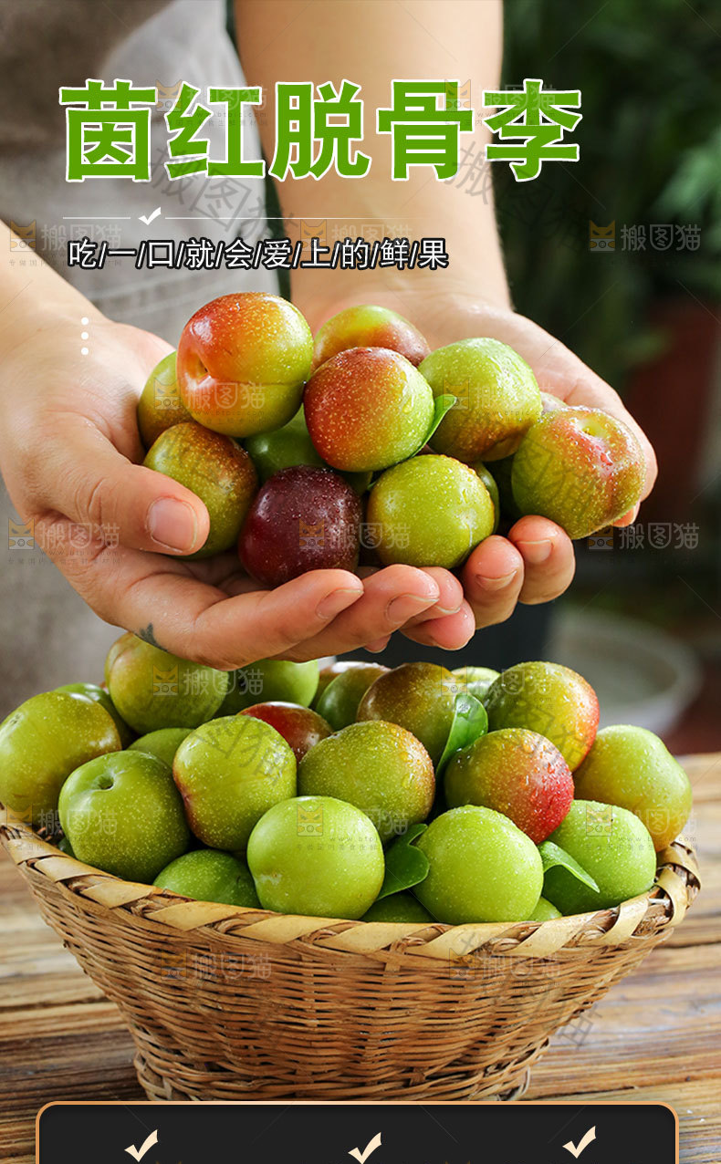 茵红脱骨李详情页