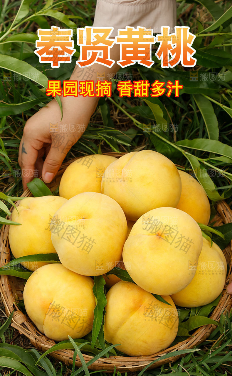 奉贤黄桃详情页