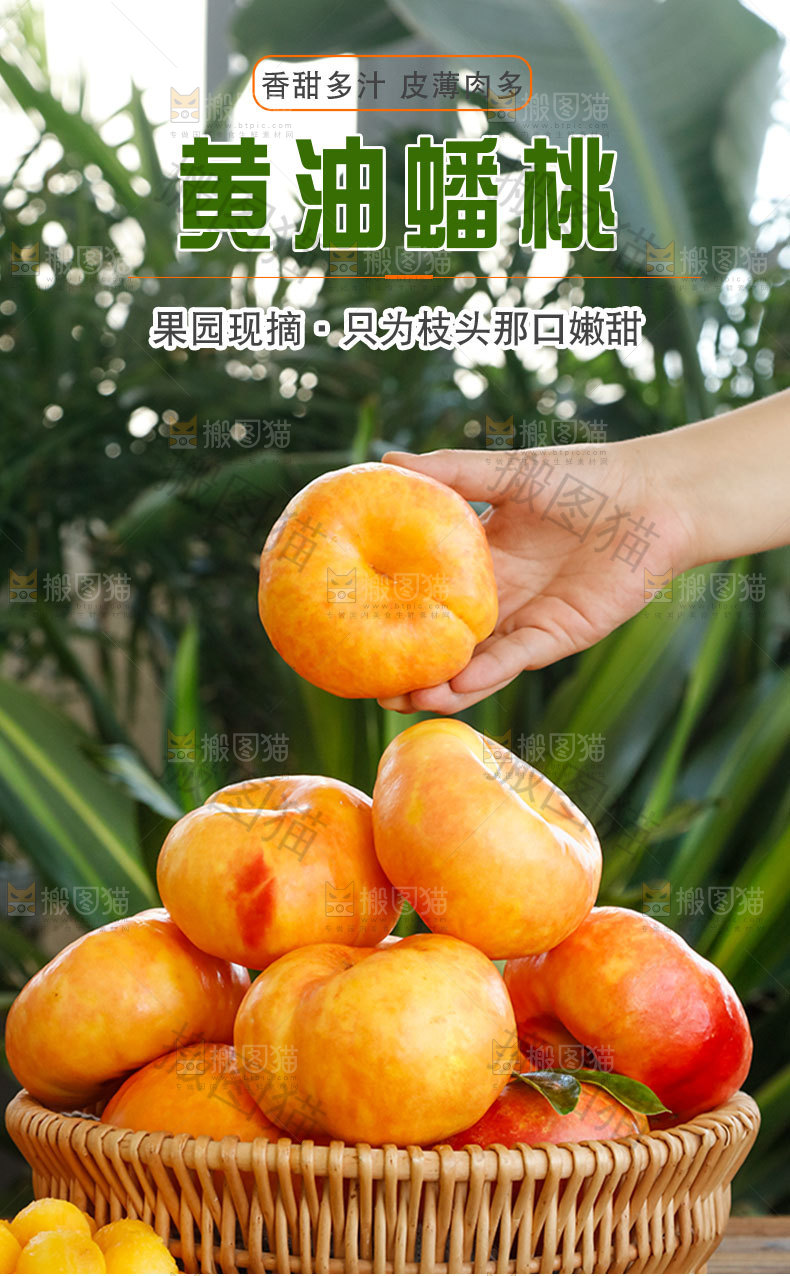 黄油蟠桃详情页