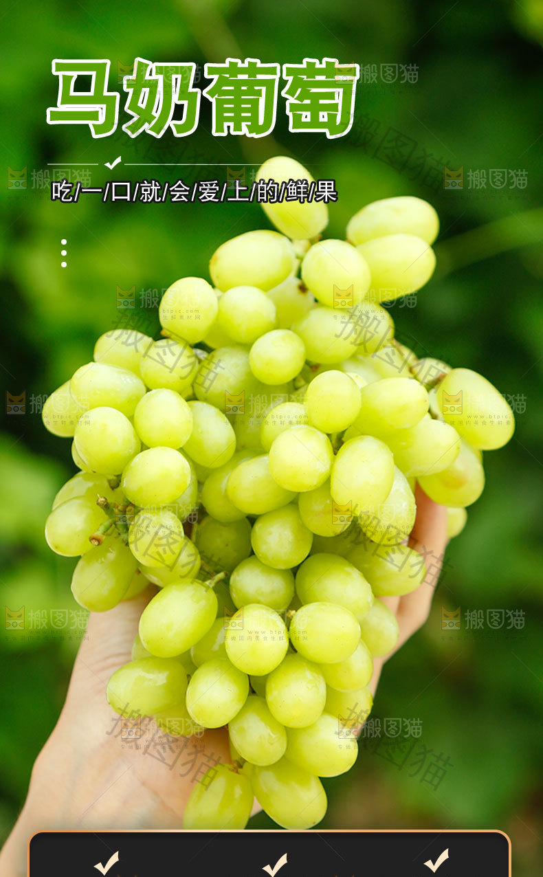 马奶葡萄详情页
