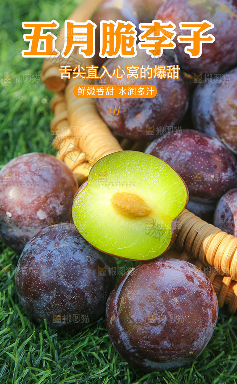 五月脆李子详情页