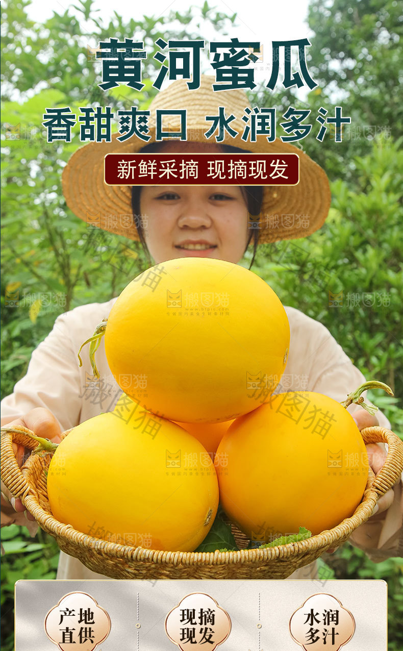 黄河蜜瓜详情页