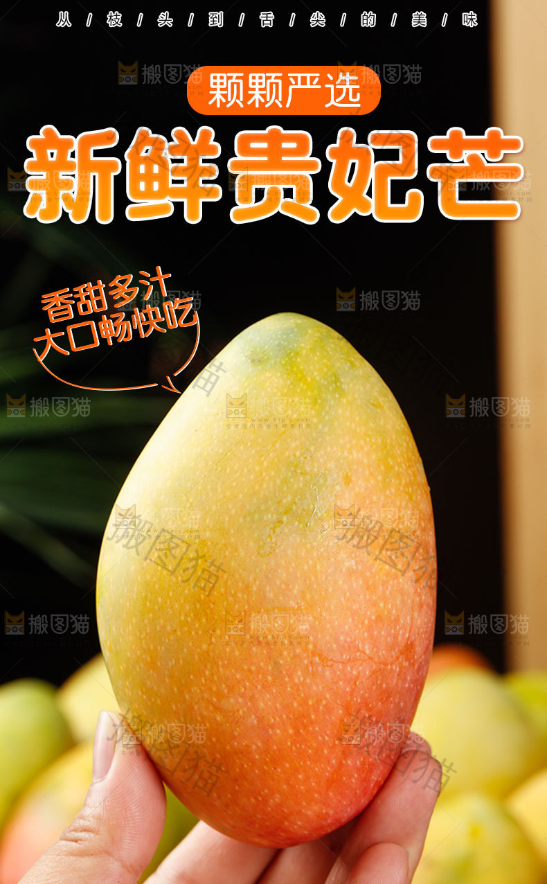新鲜贵妃芒详情页