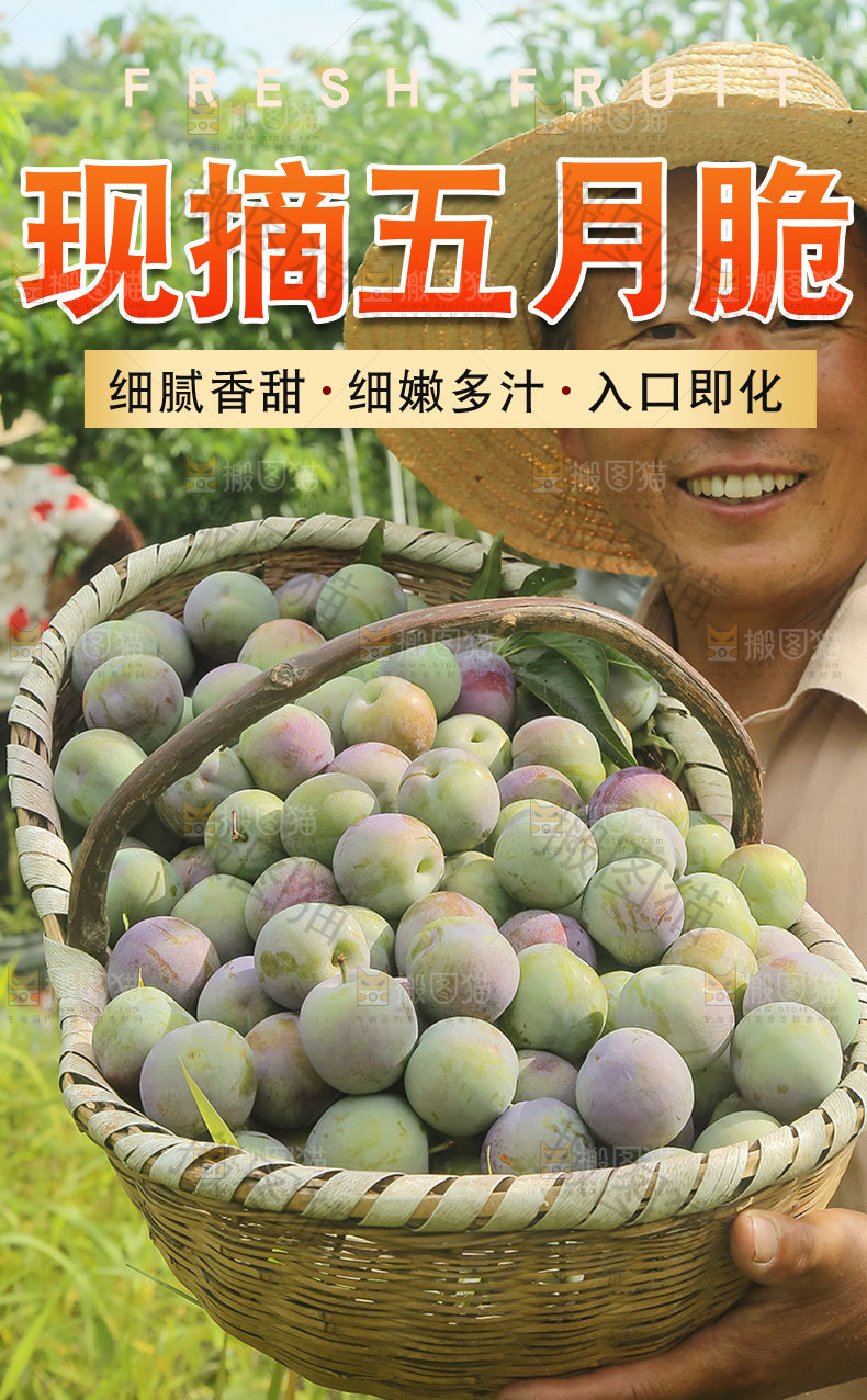 现摘五月脆详情页