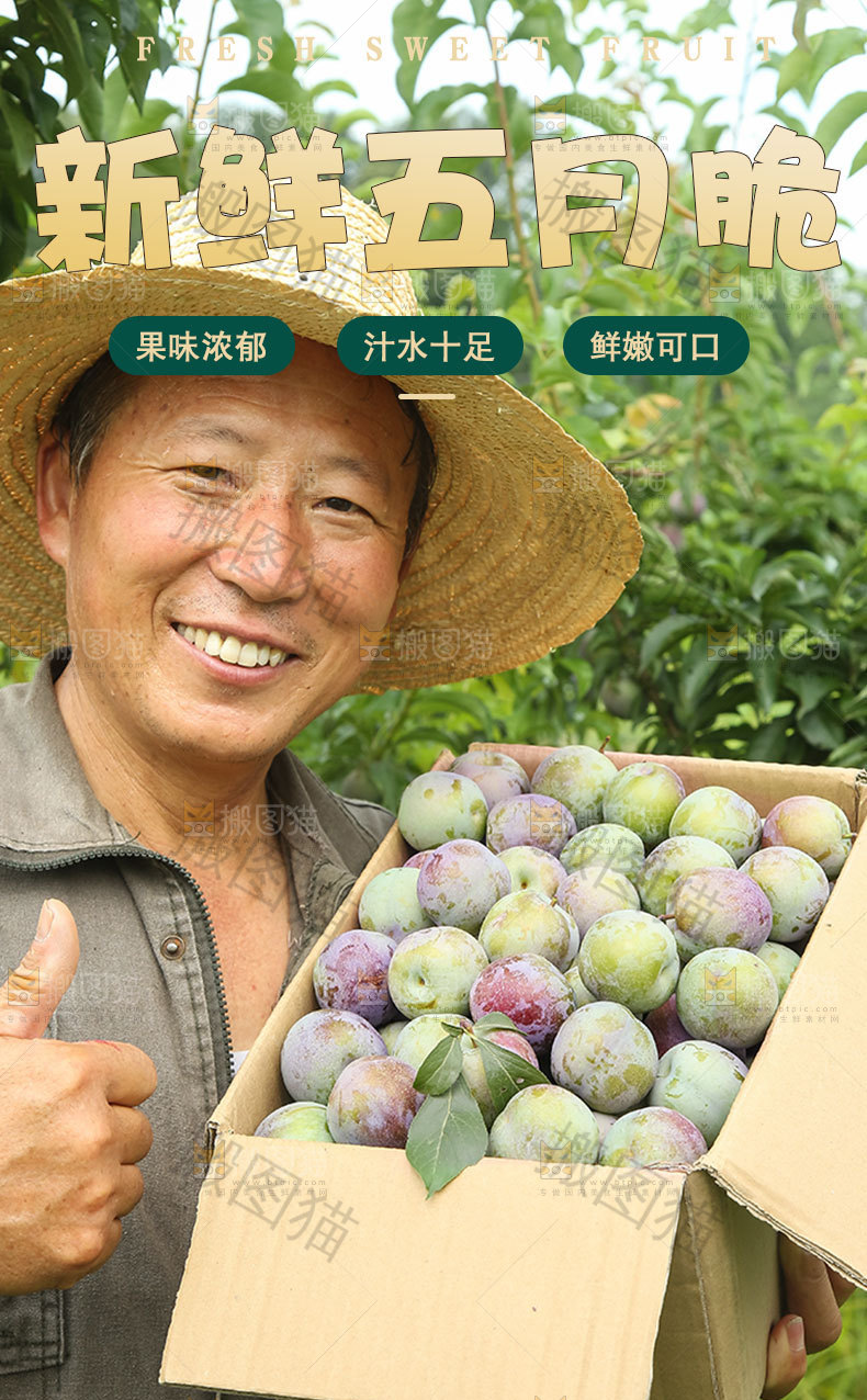 新鲜五月脆详情页