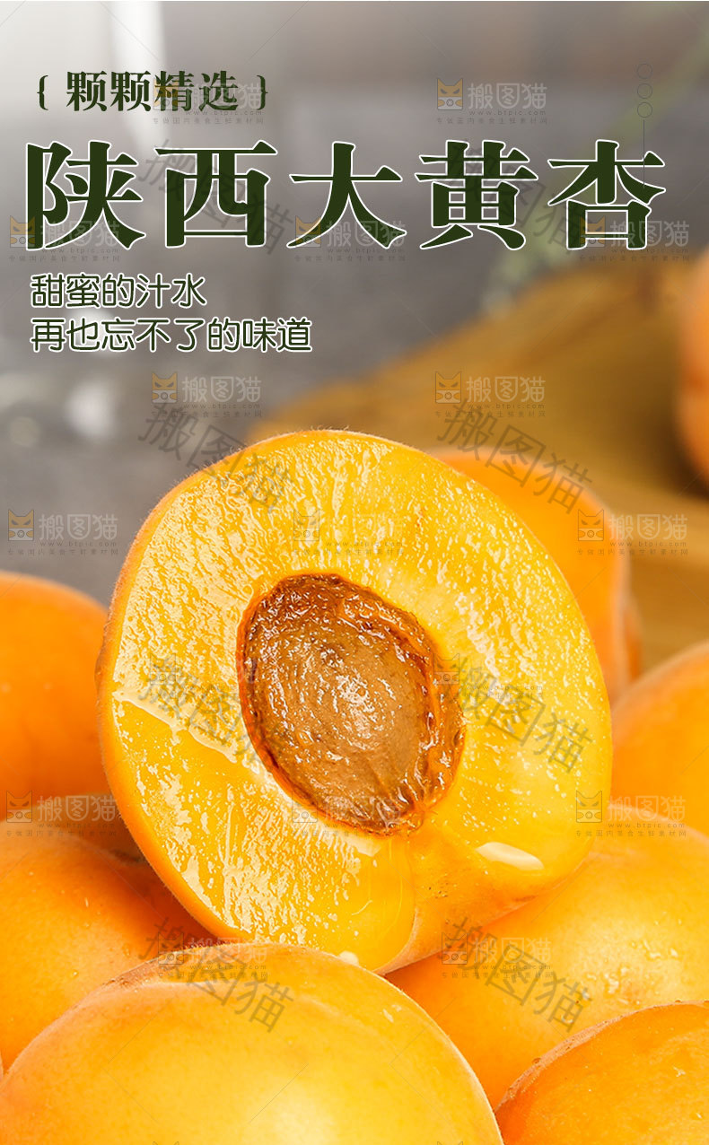 陕西大黄杏详情页