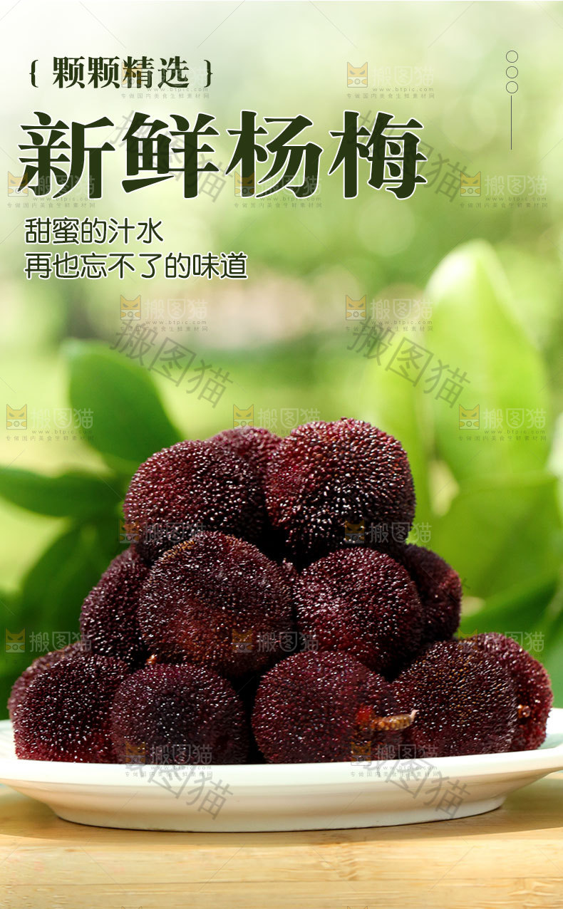 新鲜杨梅详情页