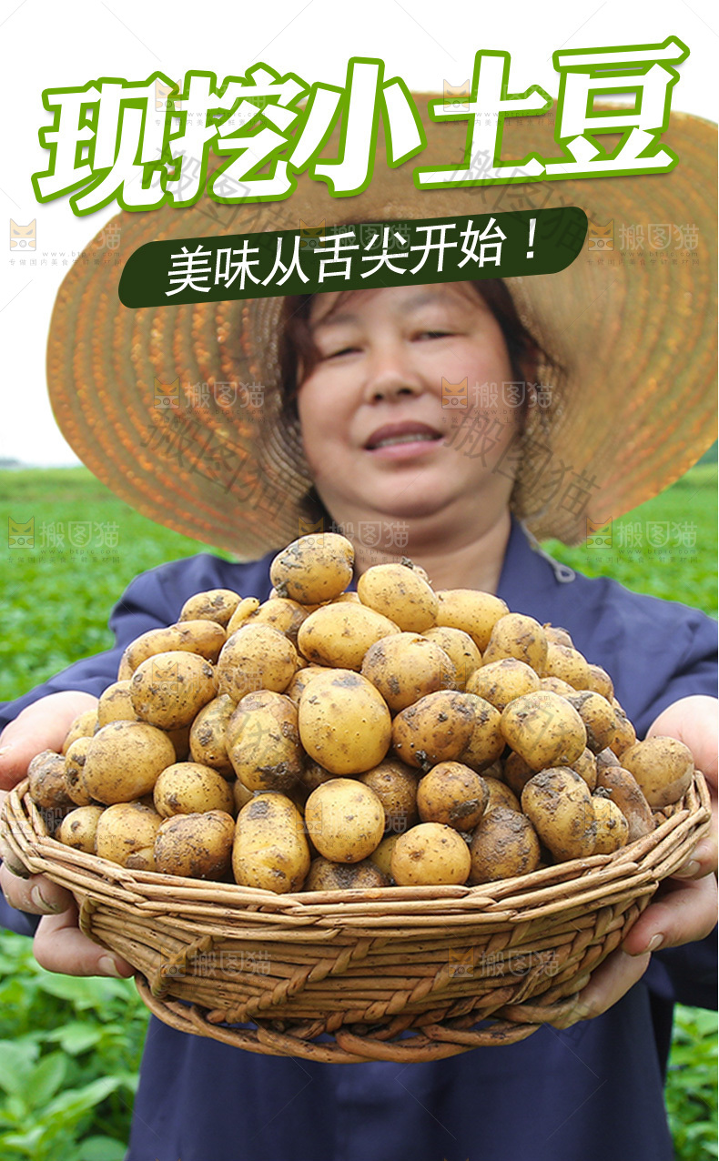 现挖小土豆详情页