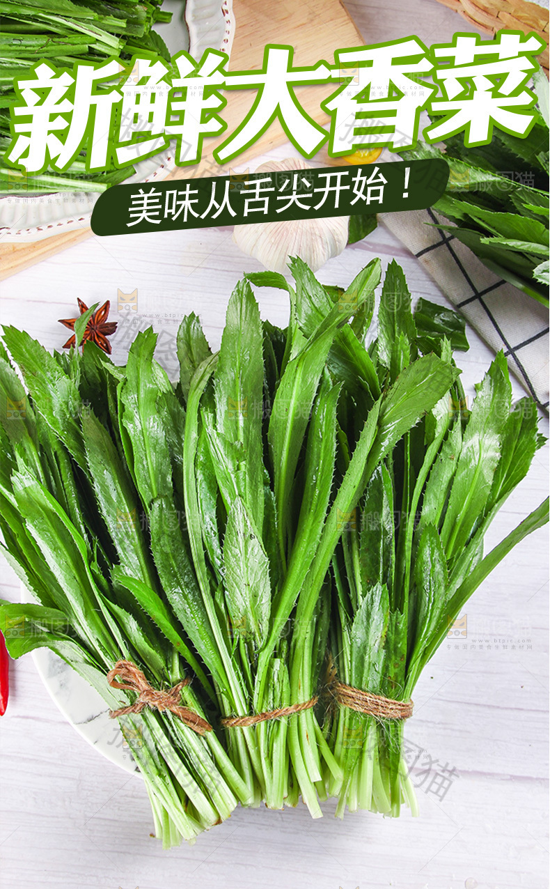 新鲜大香菜详情页