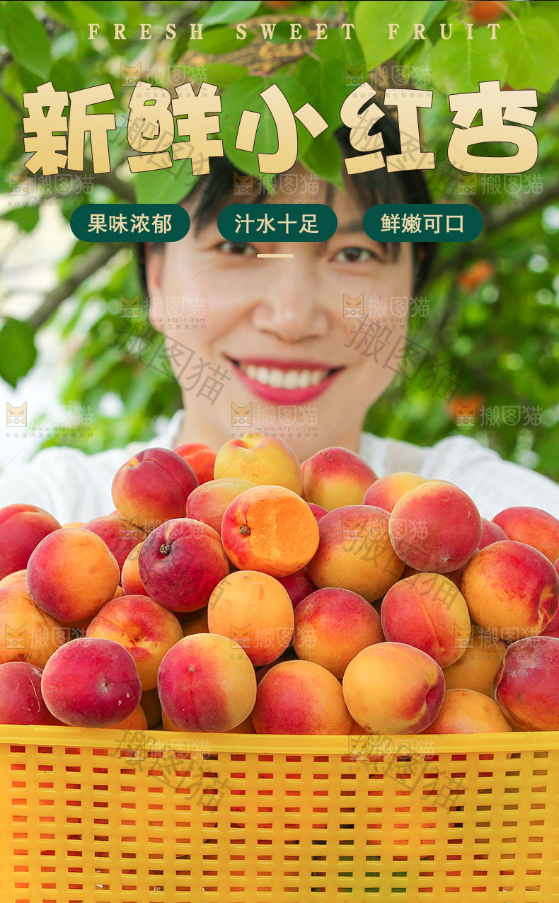 新鲜小红杏详情页
