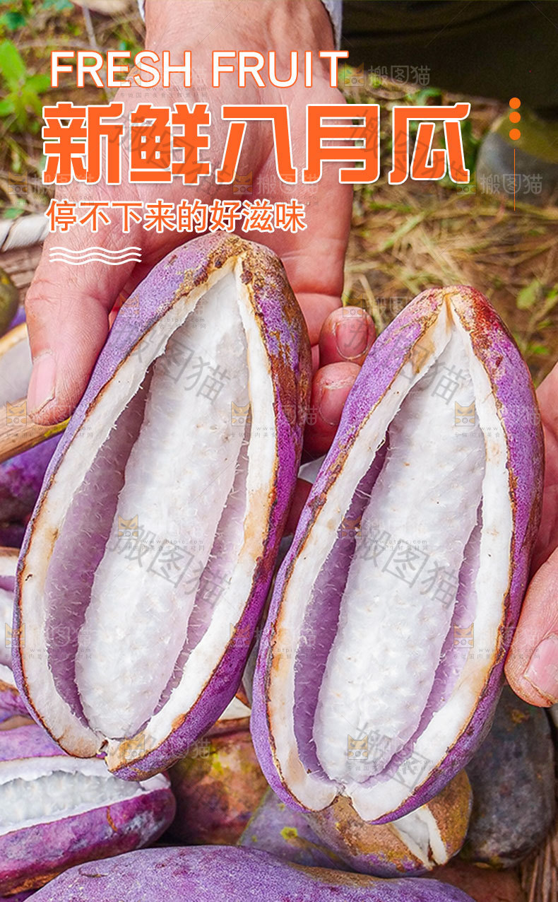 新鲜八月瓜详情页