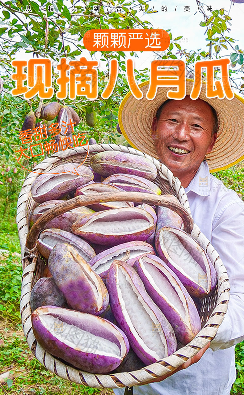 现摘八月瓜详情页