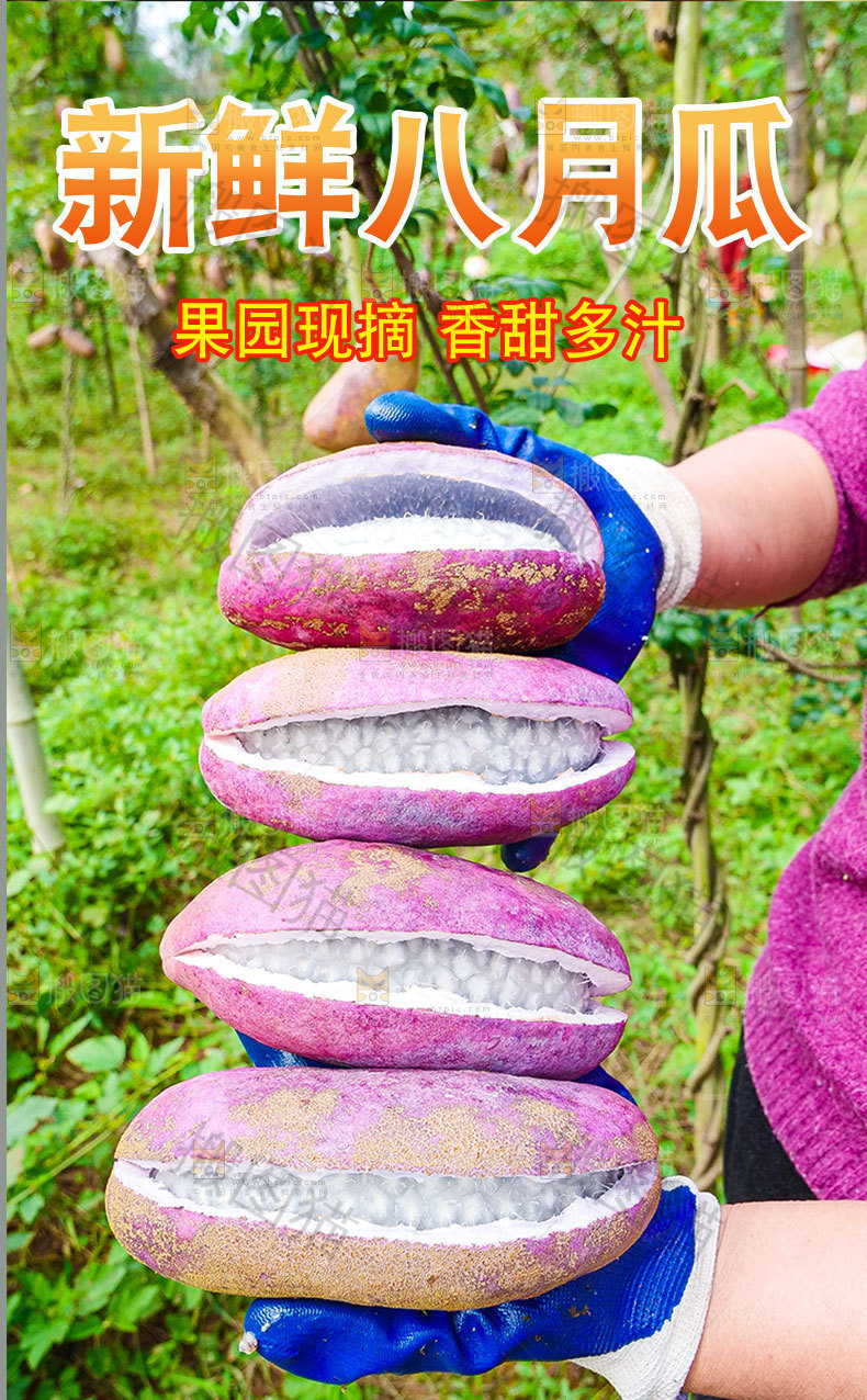 新鲜八月瓜详情页