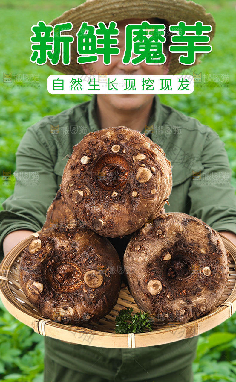 新鲜魔芋详情页