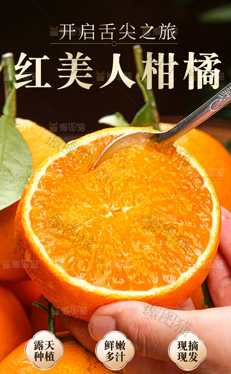 红美人柑橘详情页