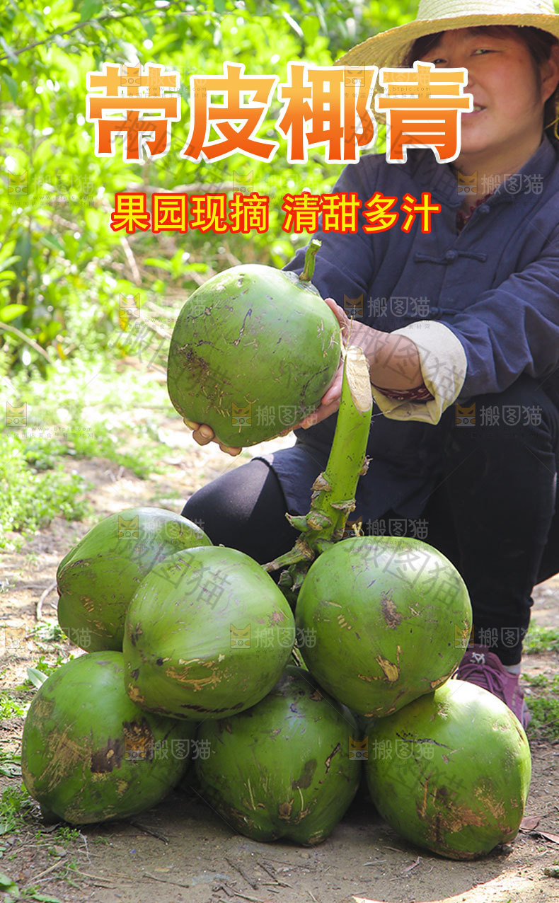带皮椰青详情页