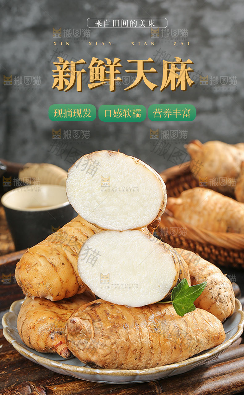新鲜天麻详情页