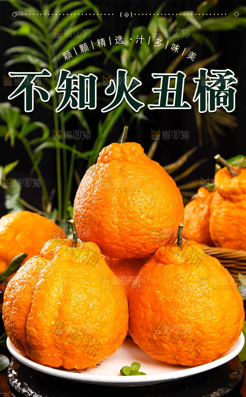 不知火丑橘详情页
