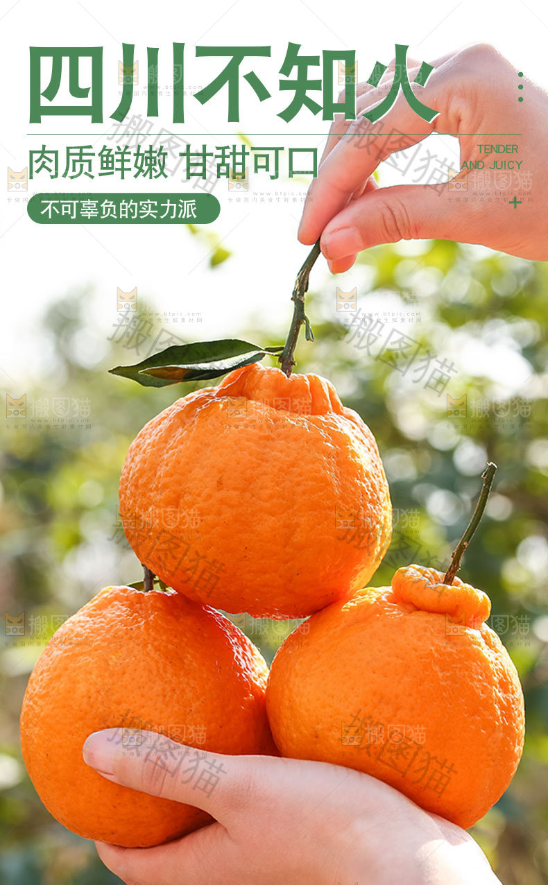 四川不知火详情页