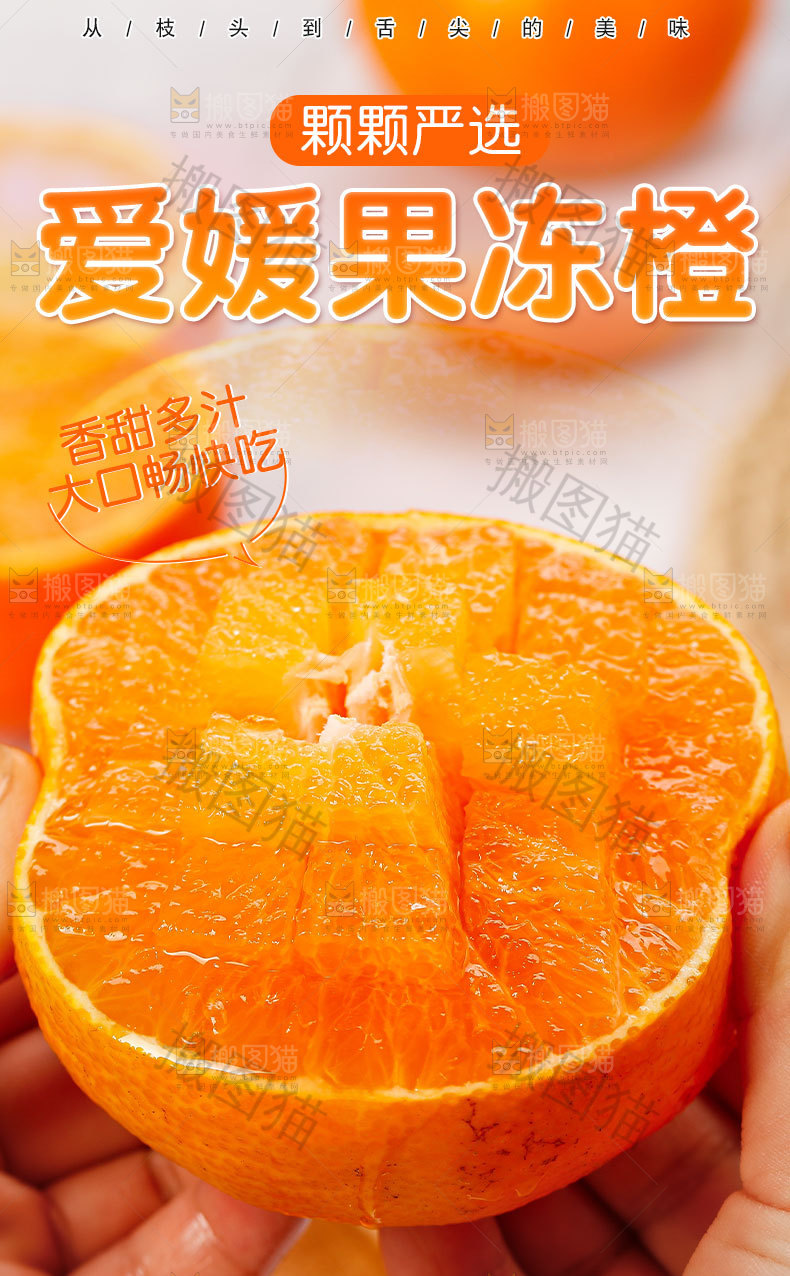 爱媛果冻橙详情页