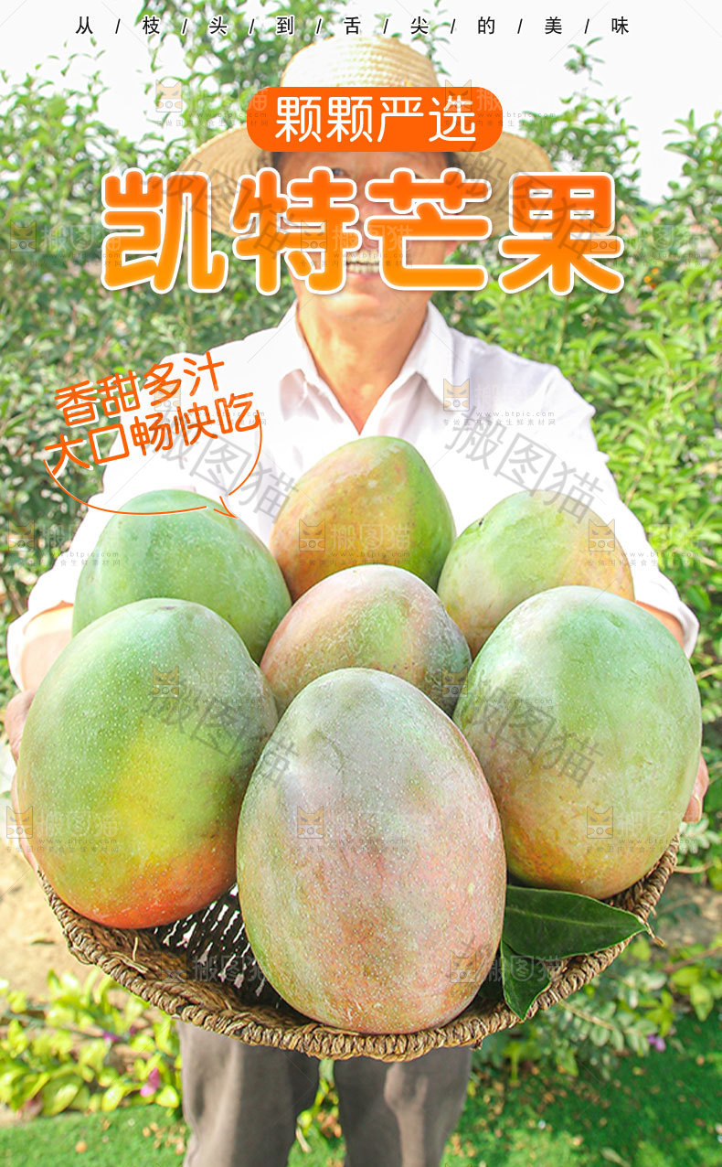 凯特芒果详情页