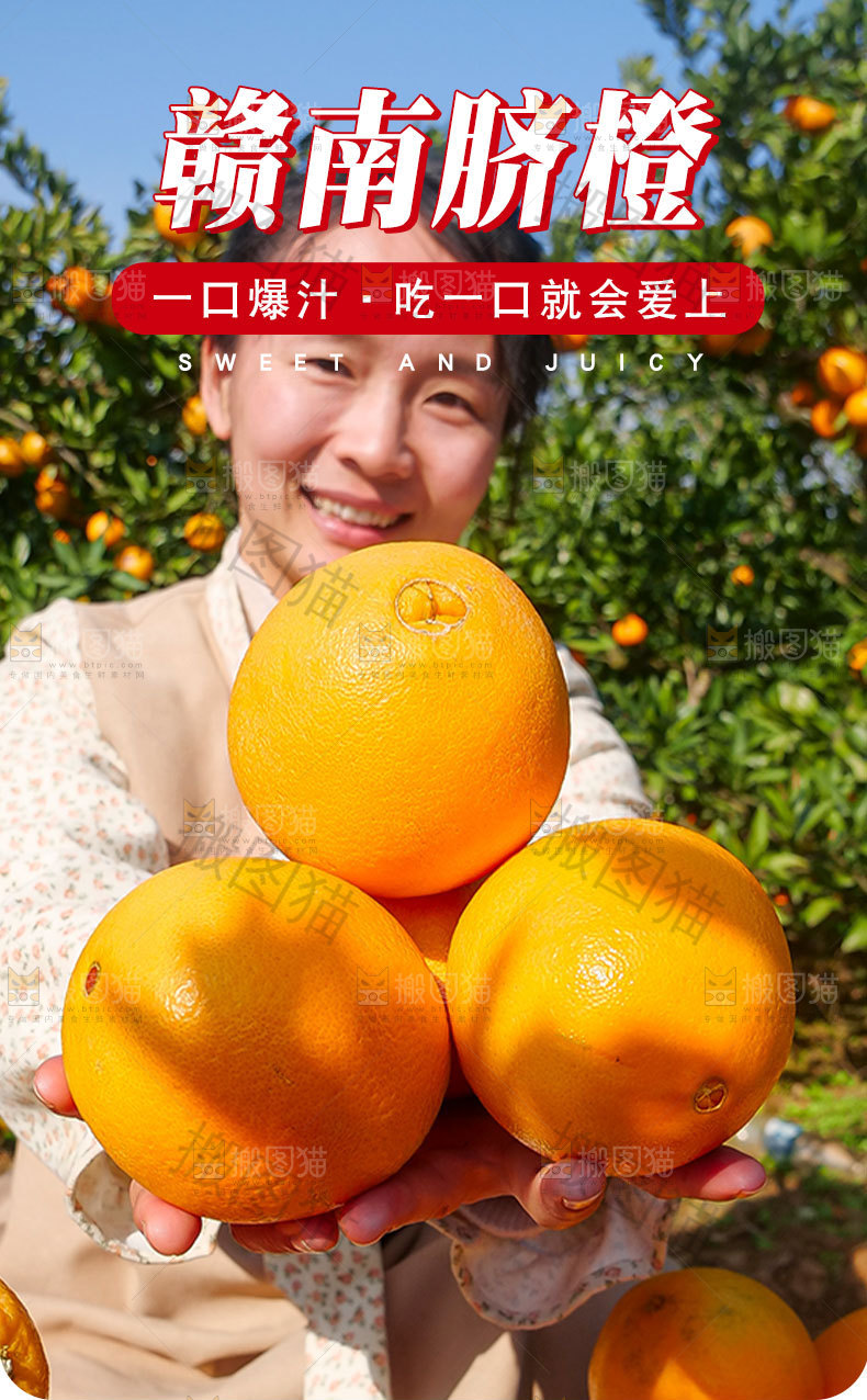 赣南脐橙详情页