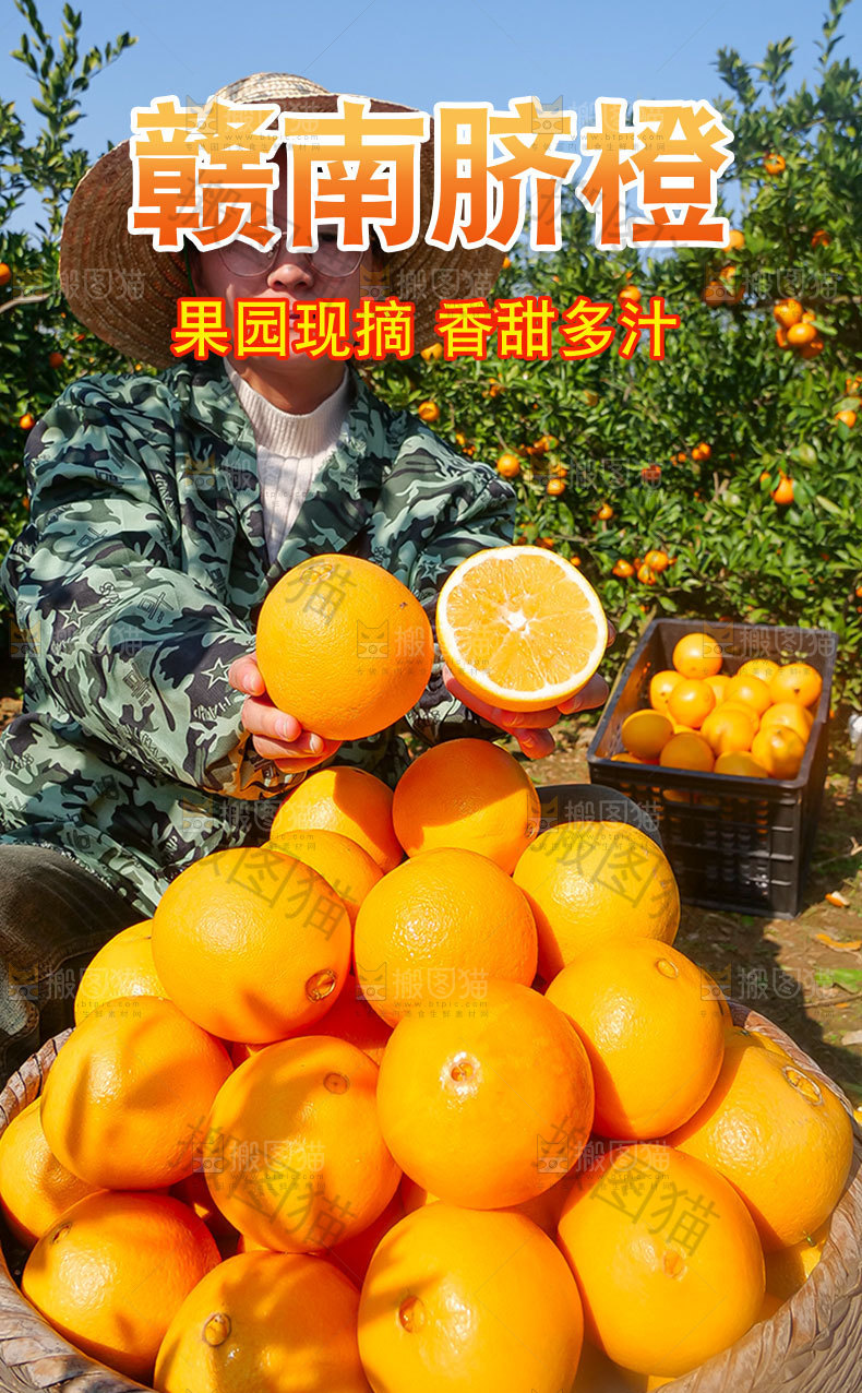 赣南脐橙详情页