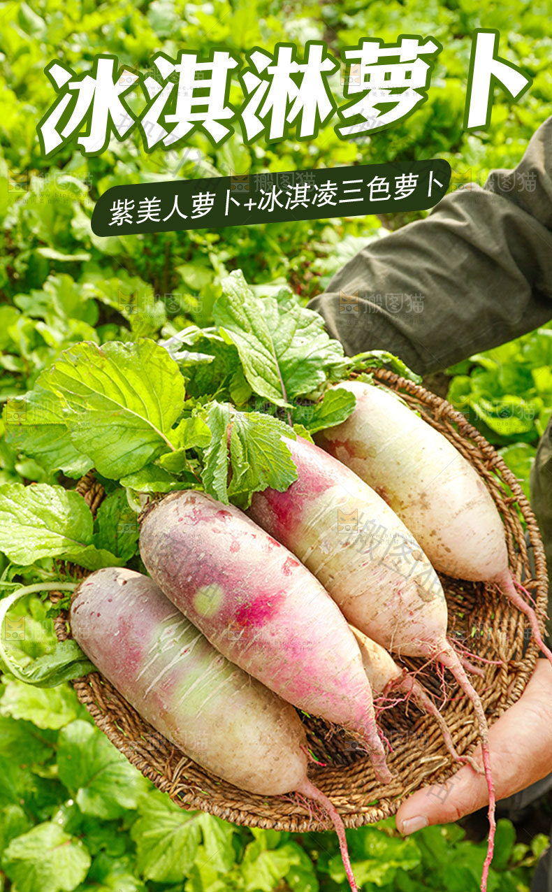 冰淇淋萝卜详情页