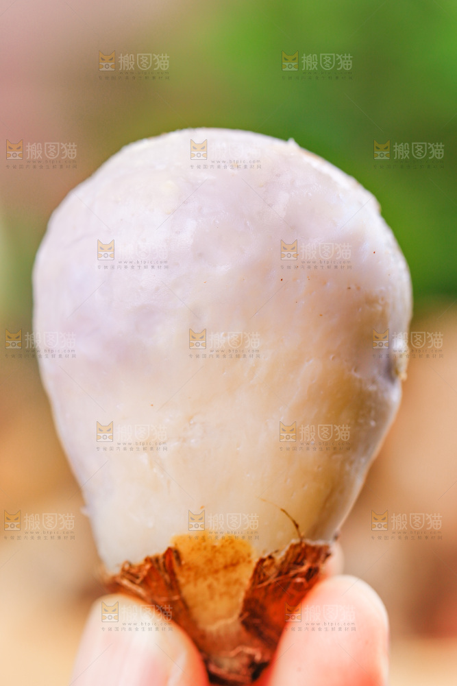 手上拿着小香芋