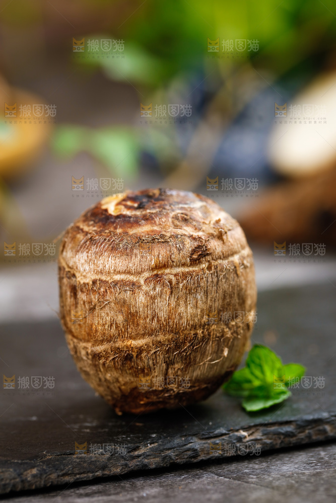 黑底上的荔浦毛芋头 