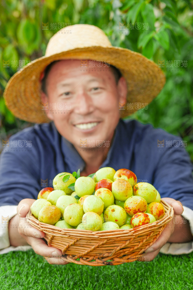 农民手上端着一篮新鲜冬枣