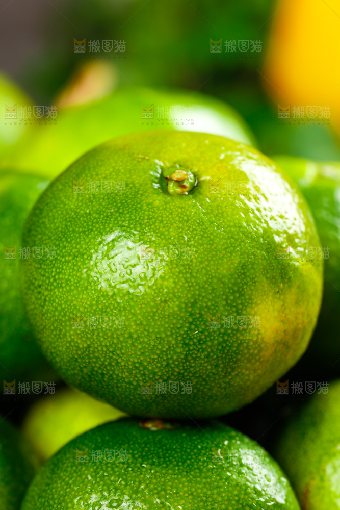 一堆新鲜的青皮蜜桔