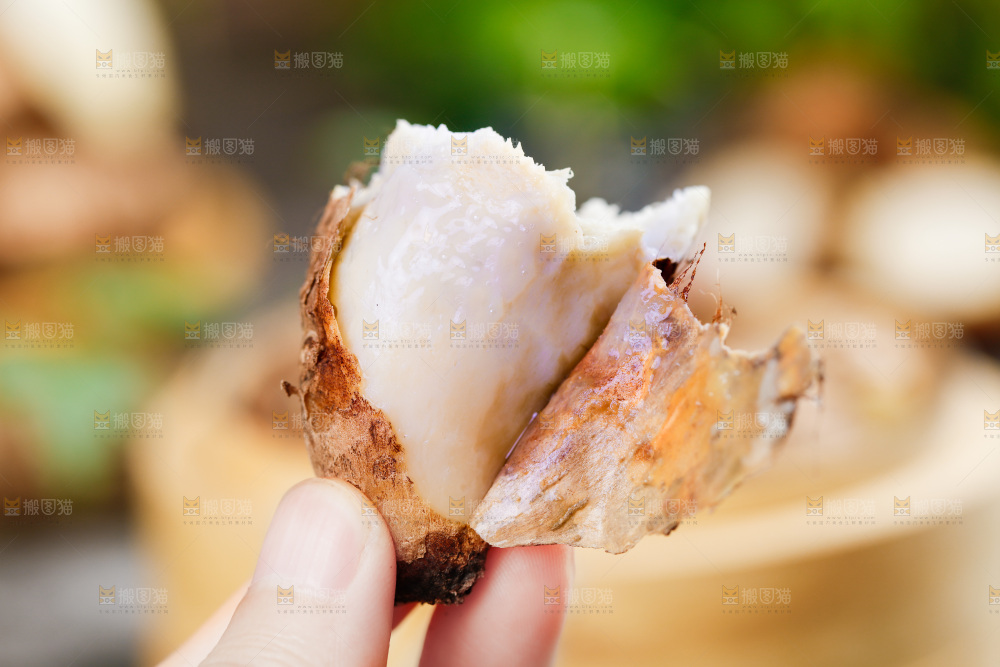 手上拿着小芋头