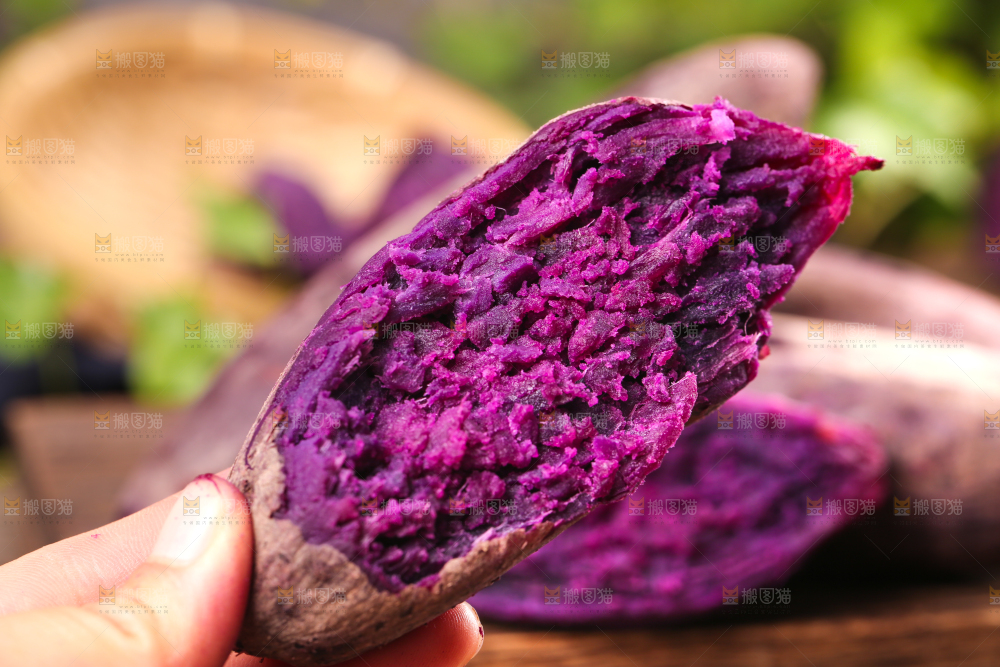 手上拿着紫蜜薯