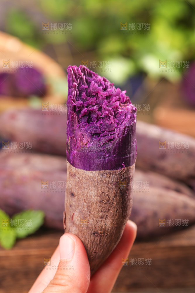 手上拿着紫蜜薯