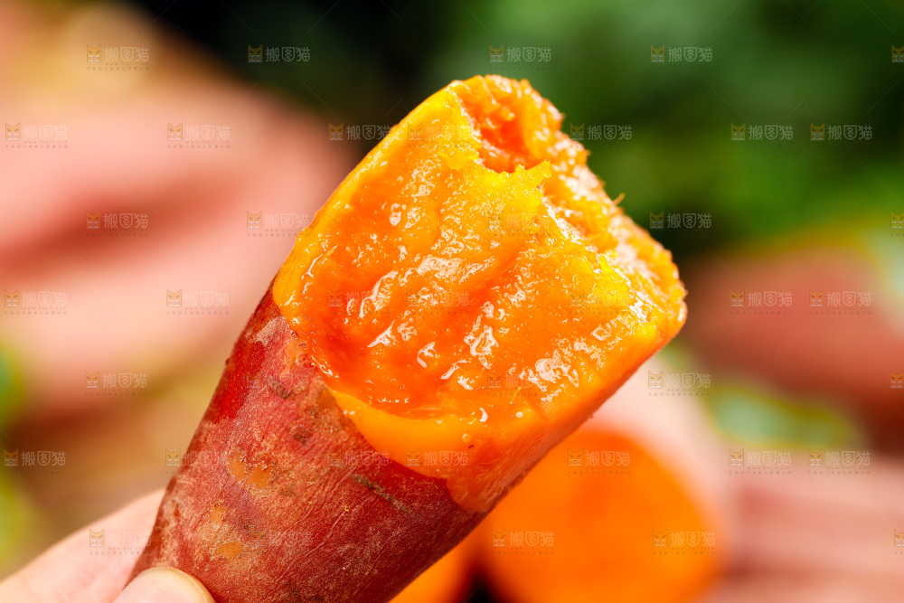 手上拿着红心蜜薯