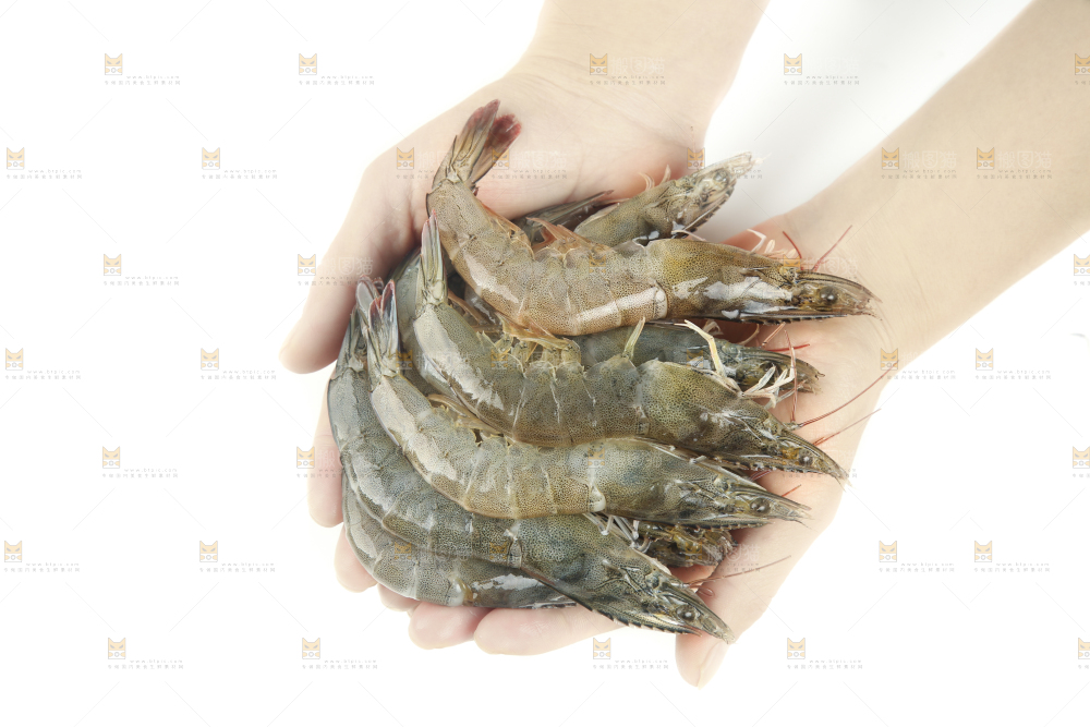 手上捧着大黑虎虾
