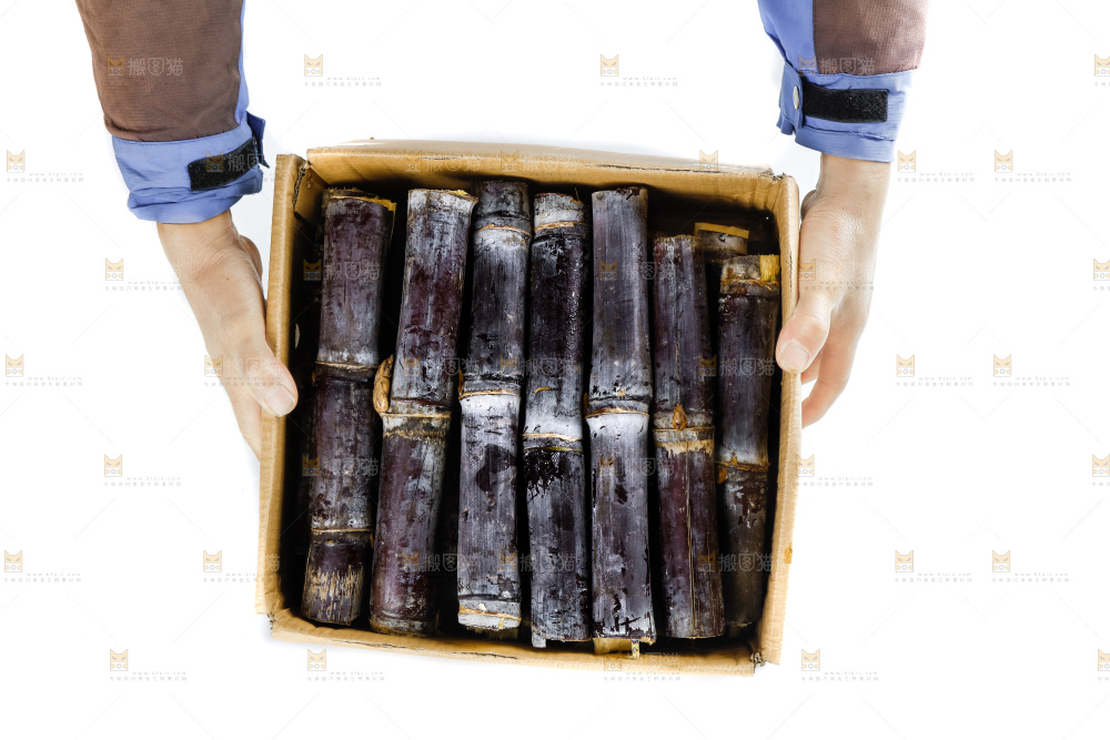手上端着一箱广西黑皮甘蔗