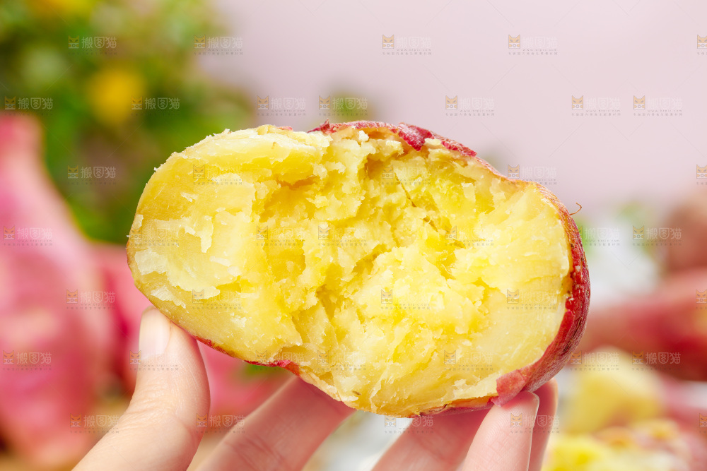 手上拿着黄心红薯
