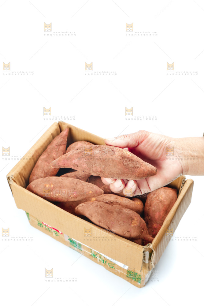 手上拿着板栗薯
